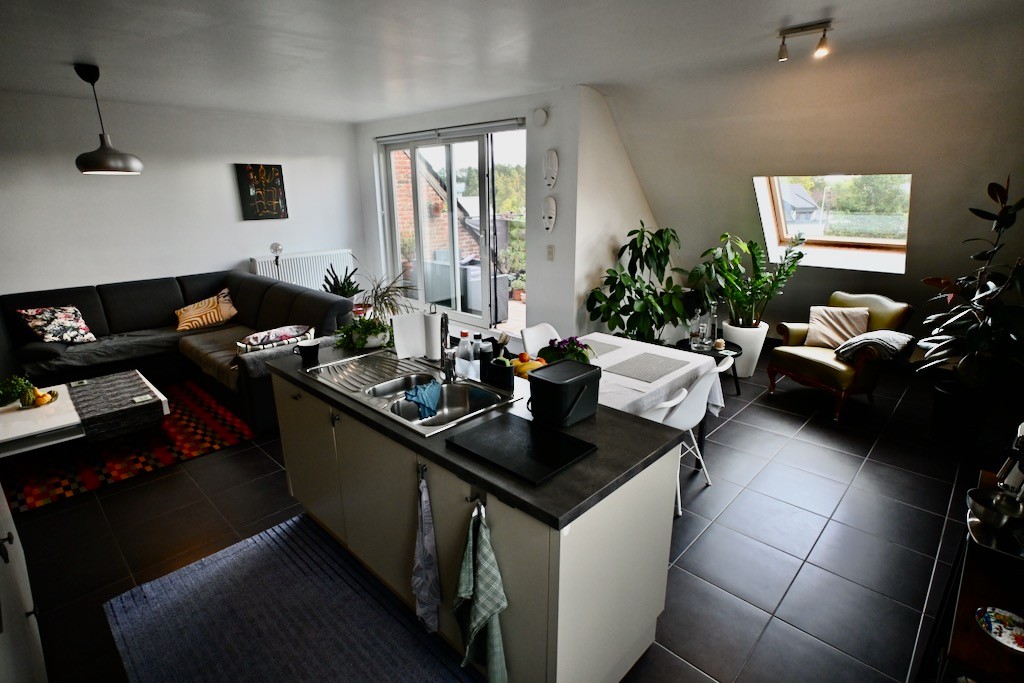 Dakappartement met 2 slaapkamers , ondergrondse autostaanplaats + berging + bovengrondse parkeerplaats . - foto 4