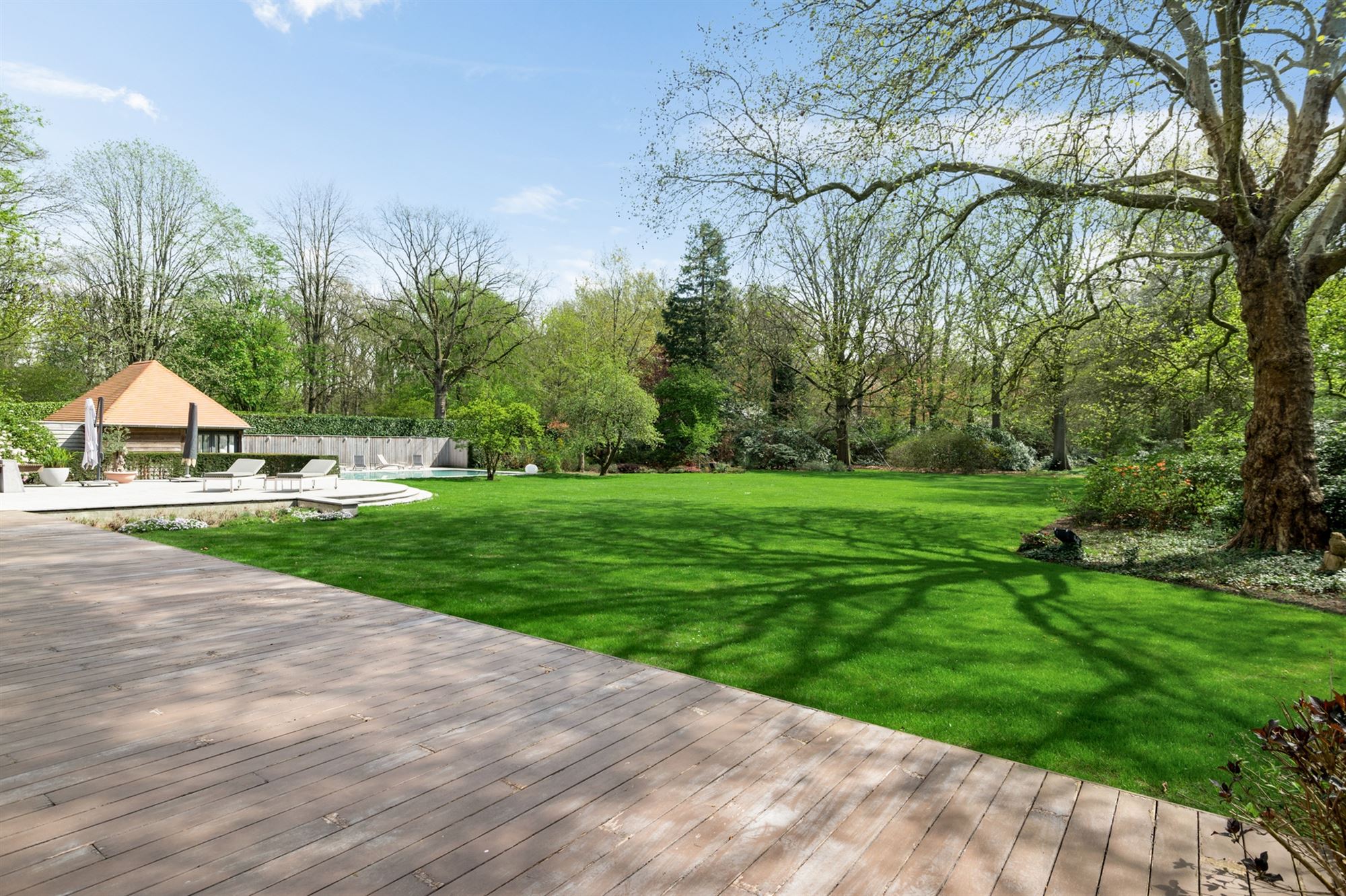 Zeer ruime villa op ca 1.7 Ha grenzend aan Peerdsbos - foto 4