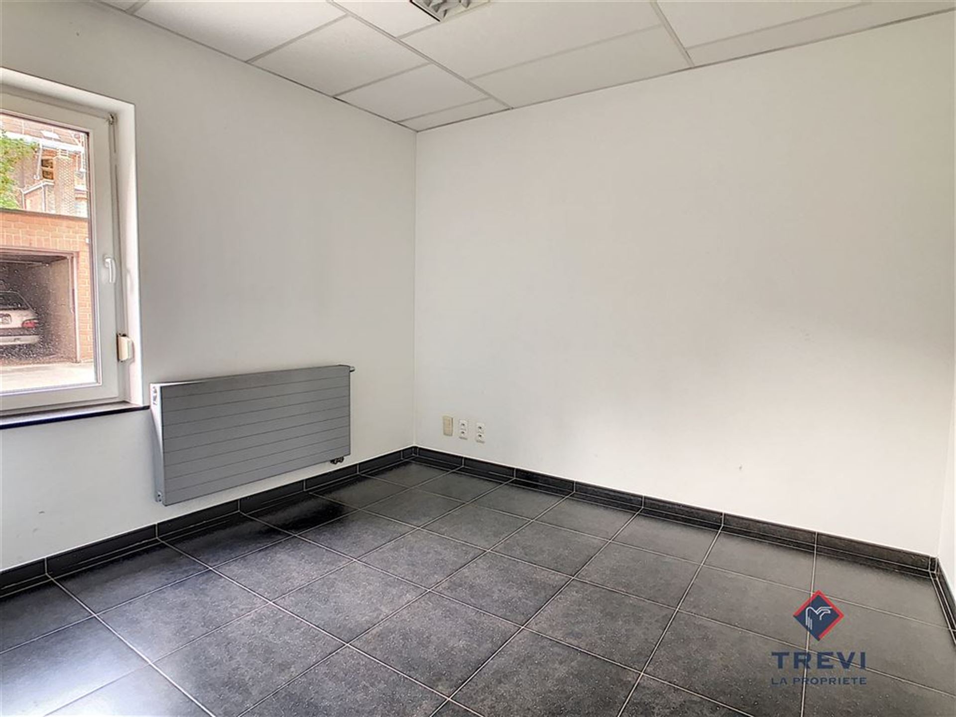 Bureaux au rez de chaussée, avec cave et garage - photo 3