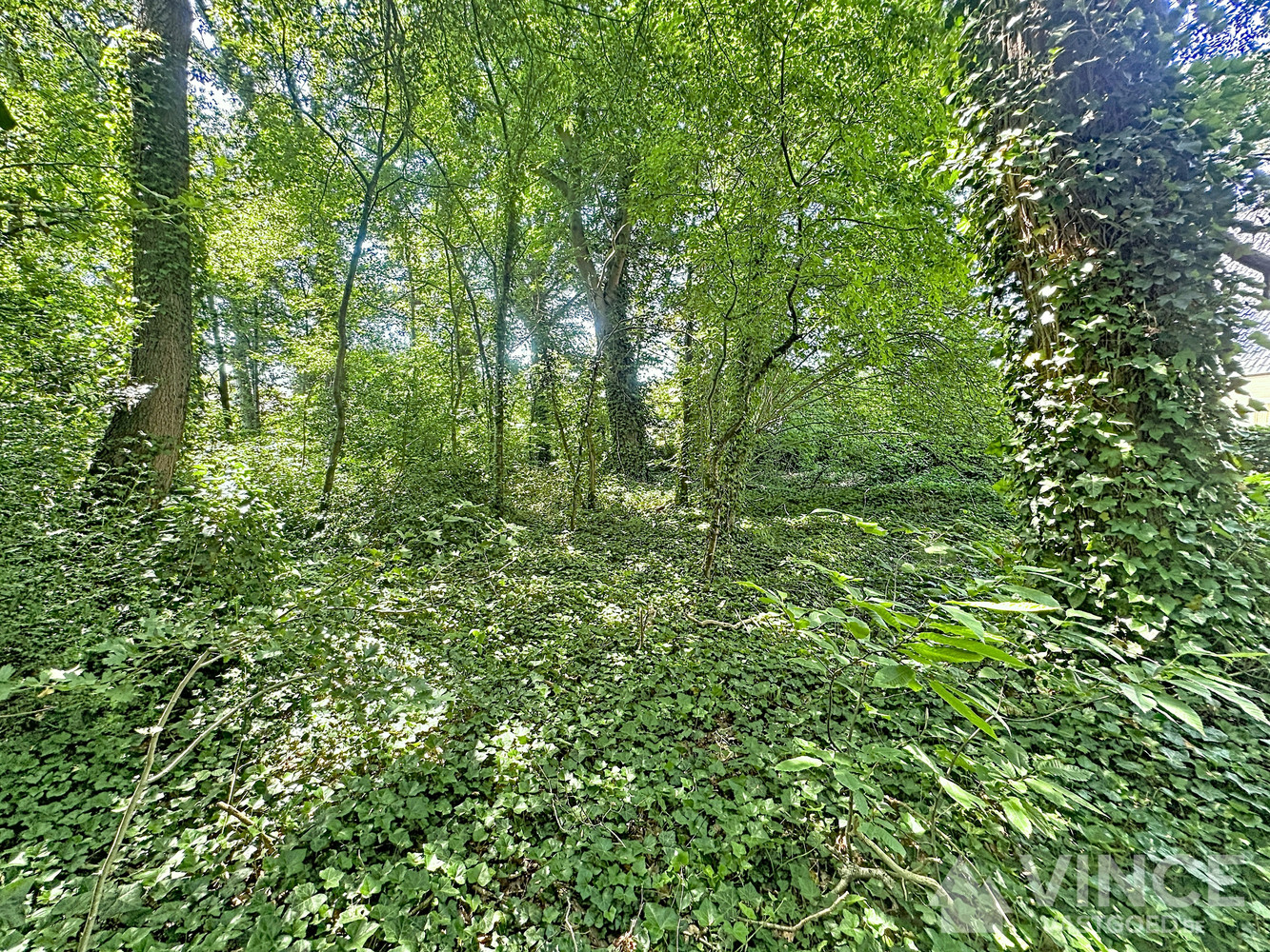 Terrain à vendre à Brasschaat - photo 5