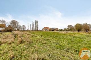 OUDENBURG - Uniek renovatieproject vlakbij de kust - hoevewoning met stallen en loods op 3 HA
Horse-Immo bied je deze karaktervolle landbouwwoning aan met aanpalende weides in het rustige Oudenburg!
Deze eigendom ligt in groene long, aan een zeer rustig straatje en biedt alle mogelijkheden in combinatie met authenticiteit en rust.
Dankzij de aangebouwde koeienstal is er alle potentieel om de leefruimte verder uit te breiden of een praktijk/kantoor aan huis te integreren.
Rondom de hoeve liggen 27.000m² aanpalende weides — een idyllische setting voor dierenliefhebbers, hobbyboeren of wie gewoon wil genieten van rust en natuur.
Daarnaast biedt het stalgebouw/loods van 250m² tal van mogelijkheden: opslag, atelier, paardenstal, of toekomstig gastenverblijf....
Er is een extra stalgebouw van 100m² voor wie extra plaats zoekt.
Naast de woning mag de vervallen paardenstal ook terug worden opgebouwd om het gesloten karakter van de hoeve te bevestigen.
Het goed is gelegen volledig in het groen, op 5 minuten van de E40 en op 11 minuten van de kust.
Interesse? Aarzel dan niet om ons te contacteren op 053/60 65 66!