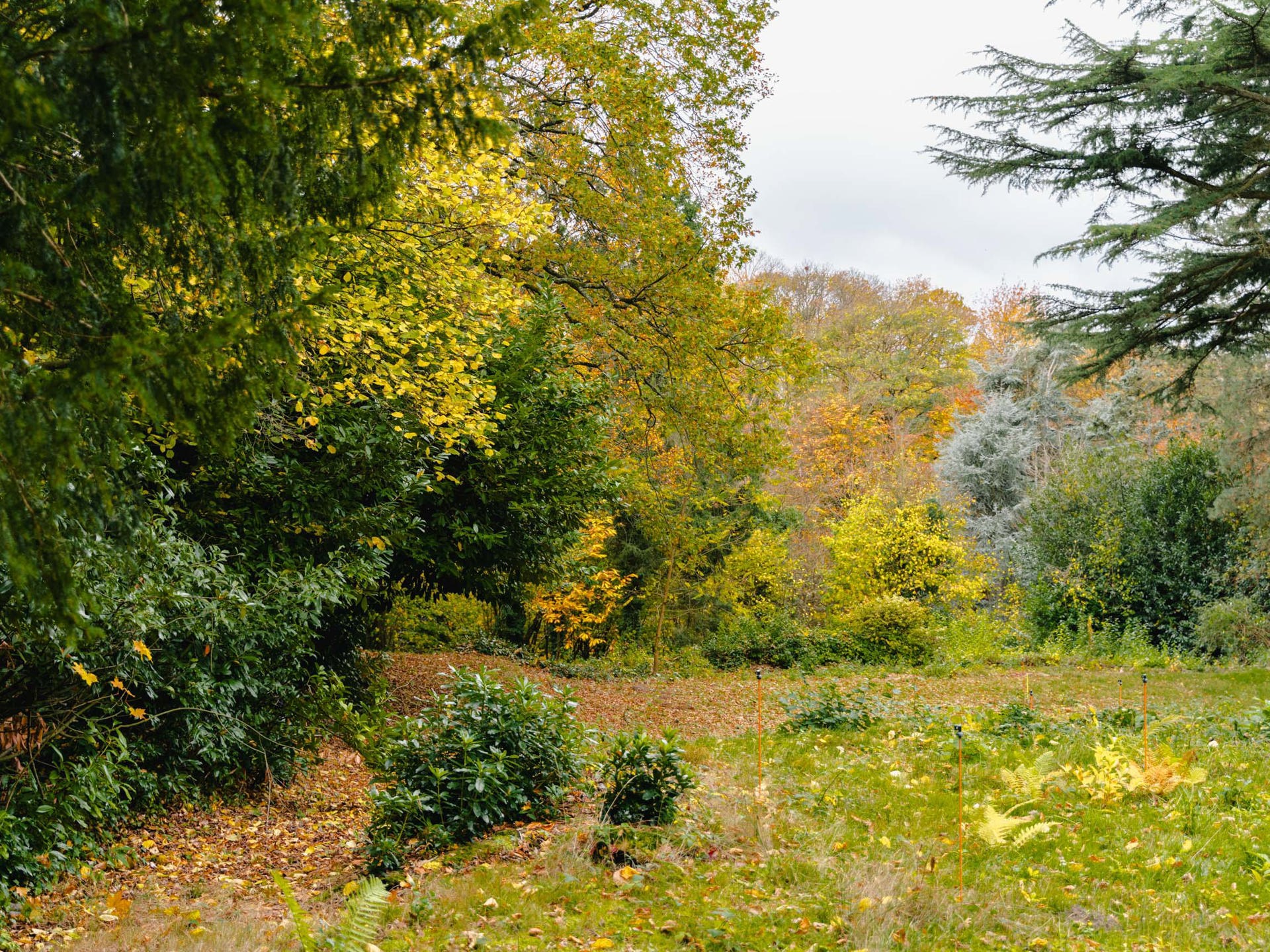Terrain à vendre à Uccle - photo 4