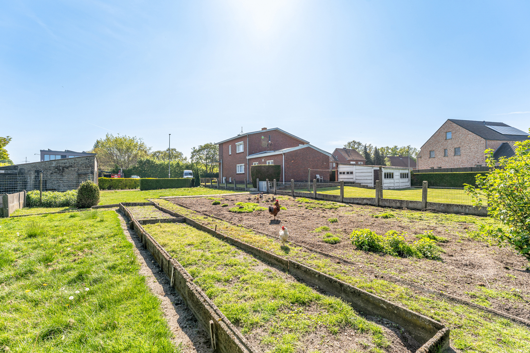 Terrain à vendre à Neerpelt - photo 3