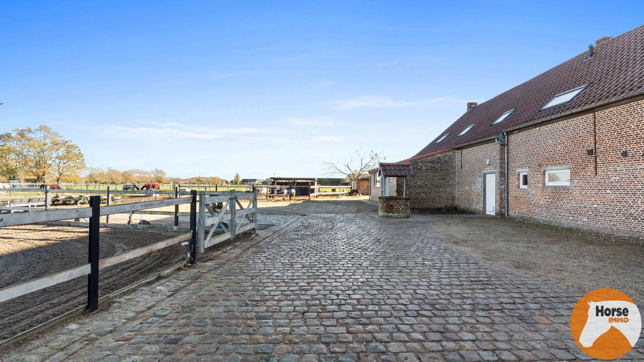 House for sale in Putte with 4 bedrooms - photo 5