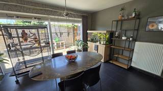 House for rent in Koekelare