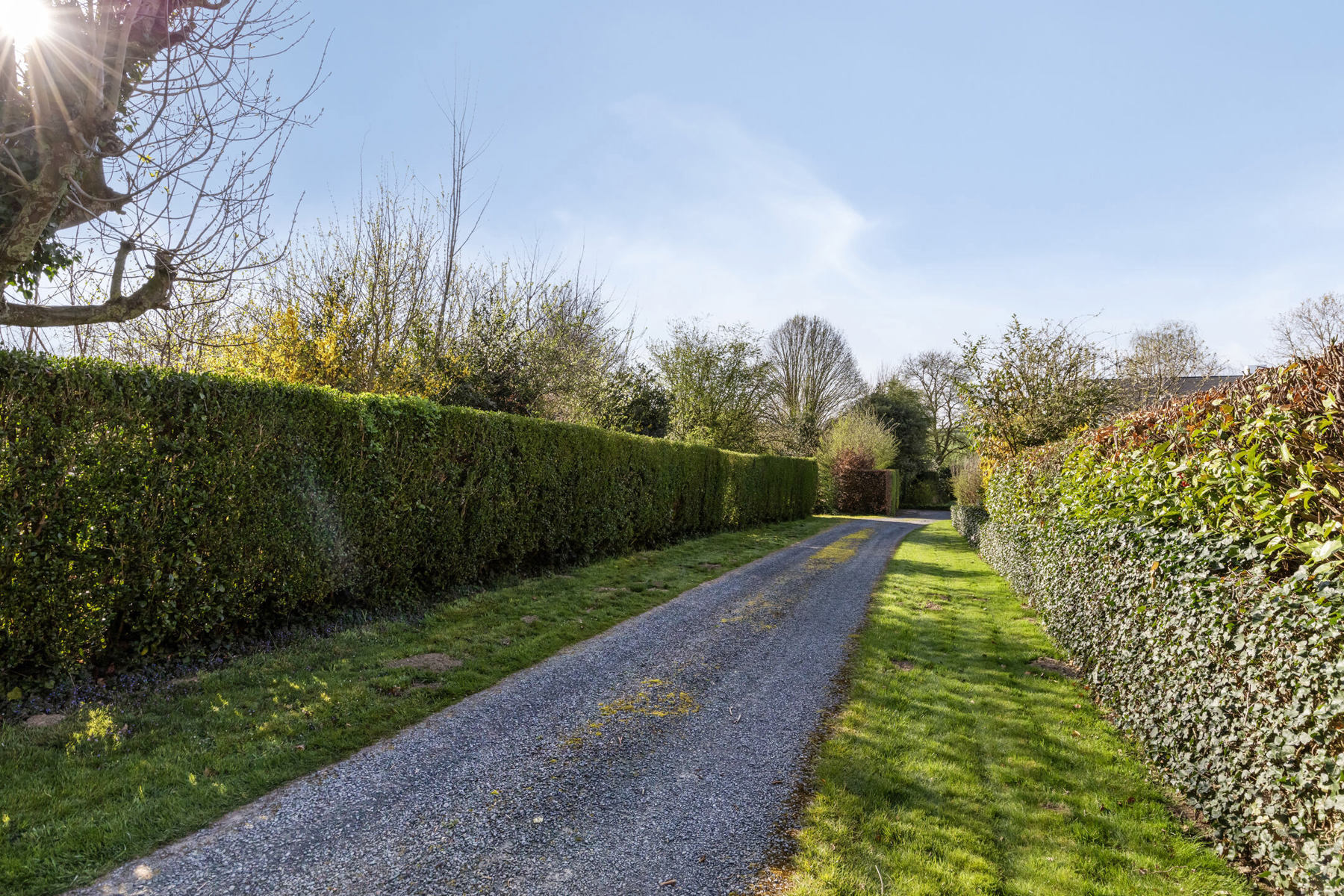 Maison à vendre à Leeuw-Saint-Pierre avec 1 chambre - photo 1