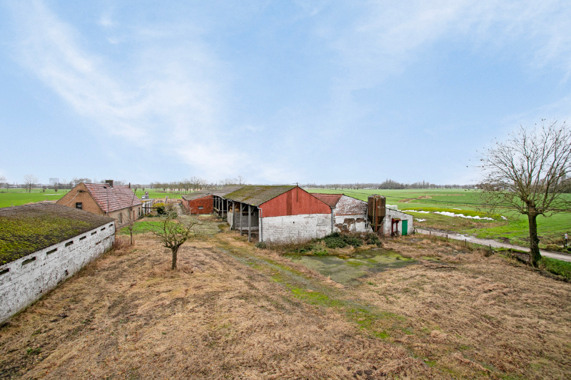 Domein te Landegem – Te renoveren hoeve op 1 hectare mét bouwmogelijkheden. - foto 4