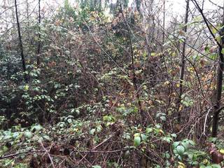 Dit aantrekkelijke perceel grond in Herselt biedt uitstekende mogelijkheden voor rust en is gelegen in agrarisch gebied, bij een zandweg. De grond...