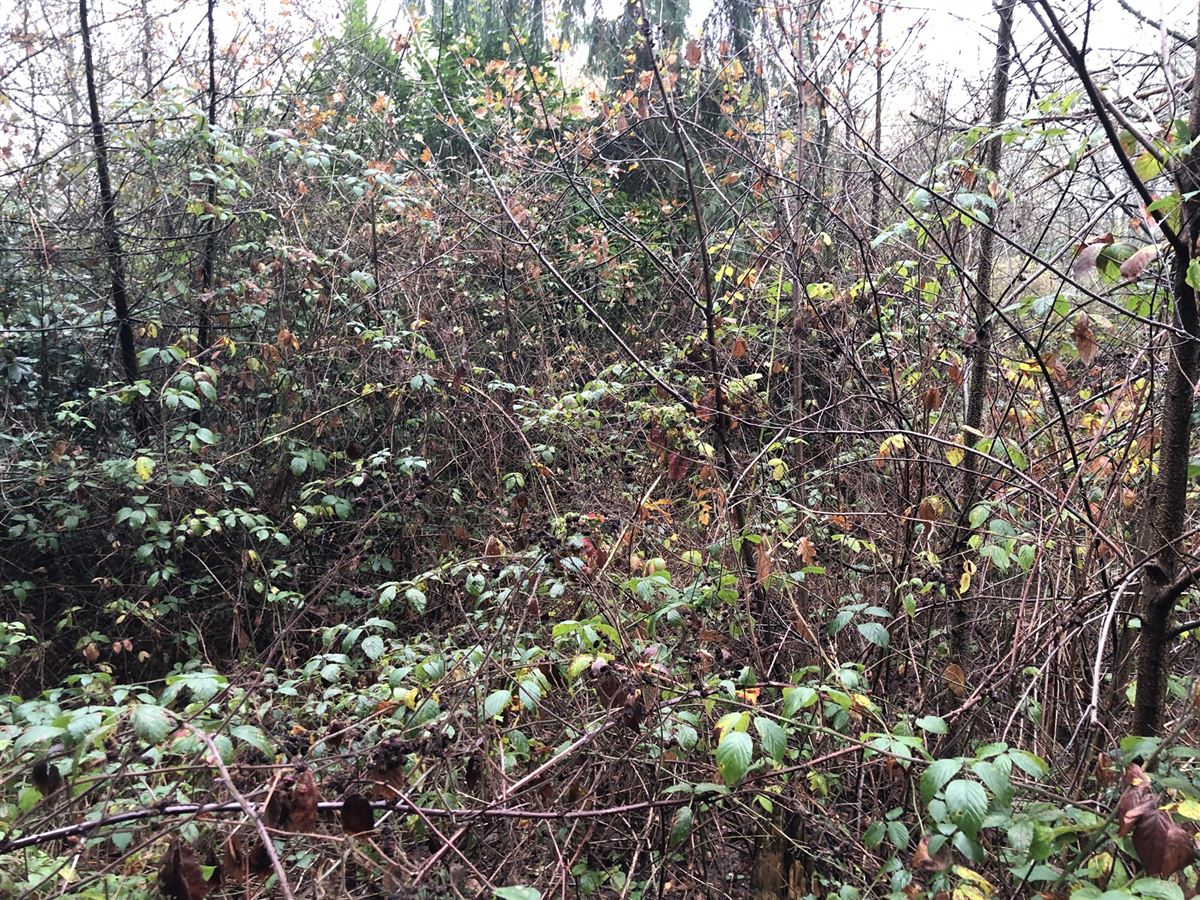 Agrarisch gebied - foto 3