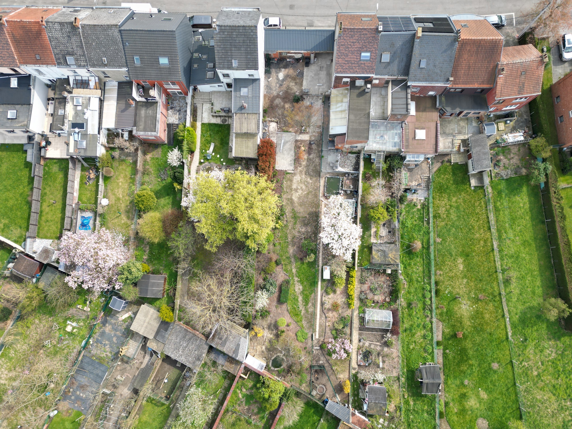 Terrain à vendre à Braine-Le-Comte - photo 4