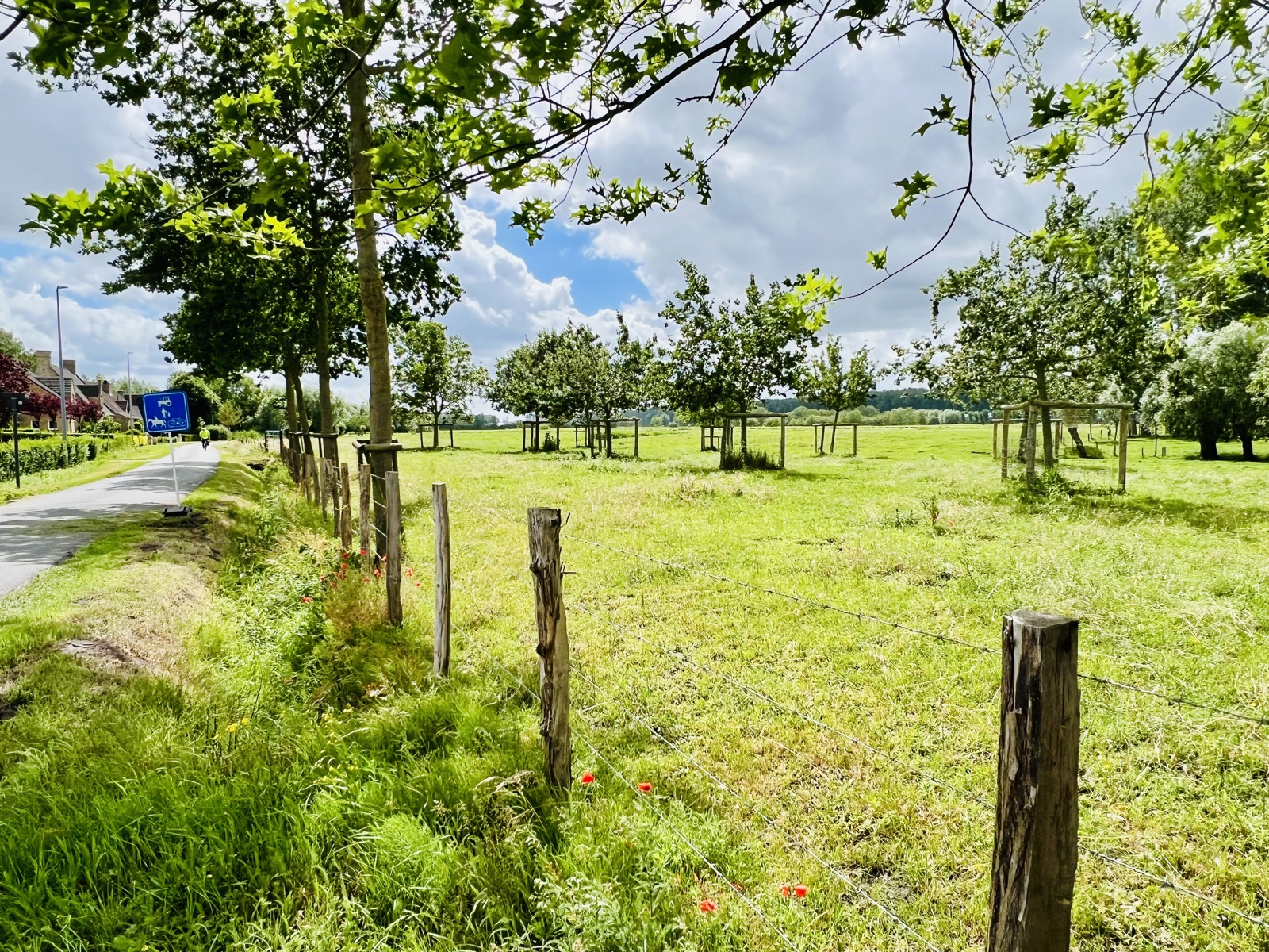 Wonen met uitzicht, ruimte en rust in het hart van Damme - foto 2