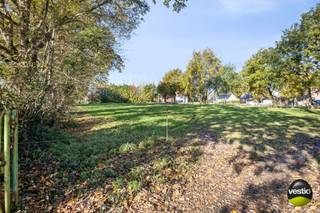 Tussen de groene lanen van Zonhoven, langs de rustige Bunderweg, ligt dit prachtig stuk land van 33 are en 31 centiare – een plek waar rust, natuur...