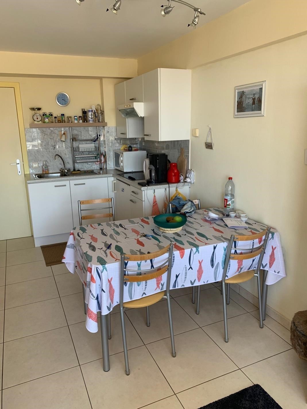 Gemeubeld appartement met twee slaapkamers - lateraal zeezicht op zonnig terras - foto 3