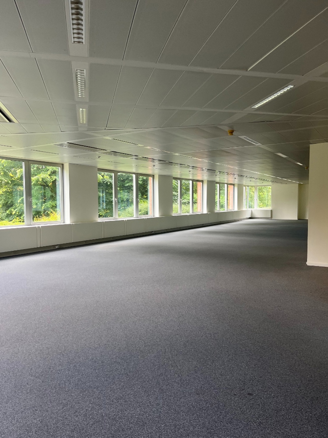 Commercial for rent in Waterloo - photo 4