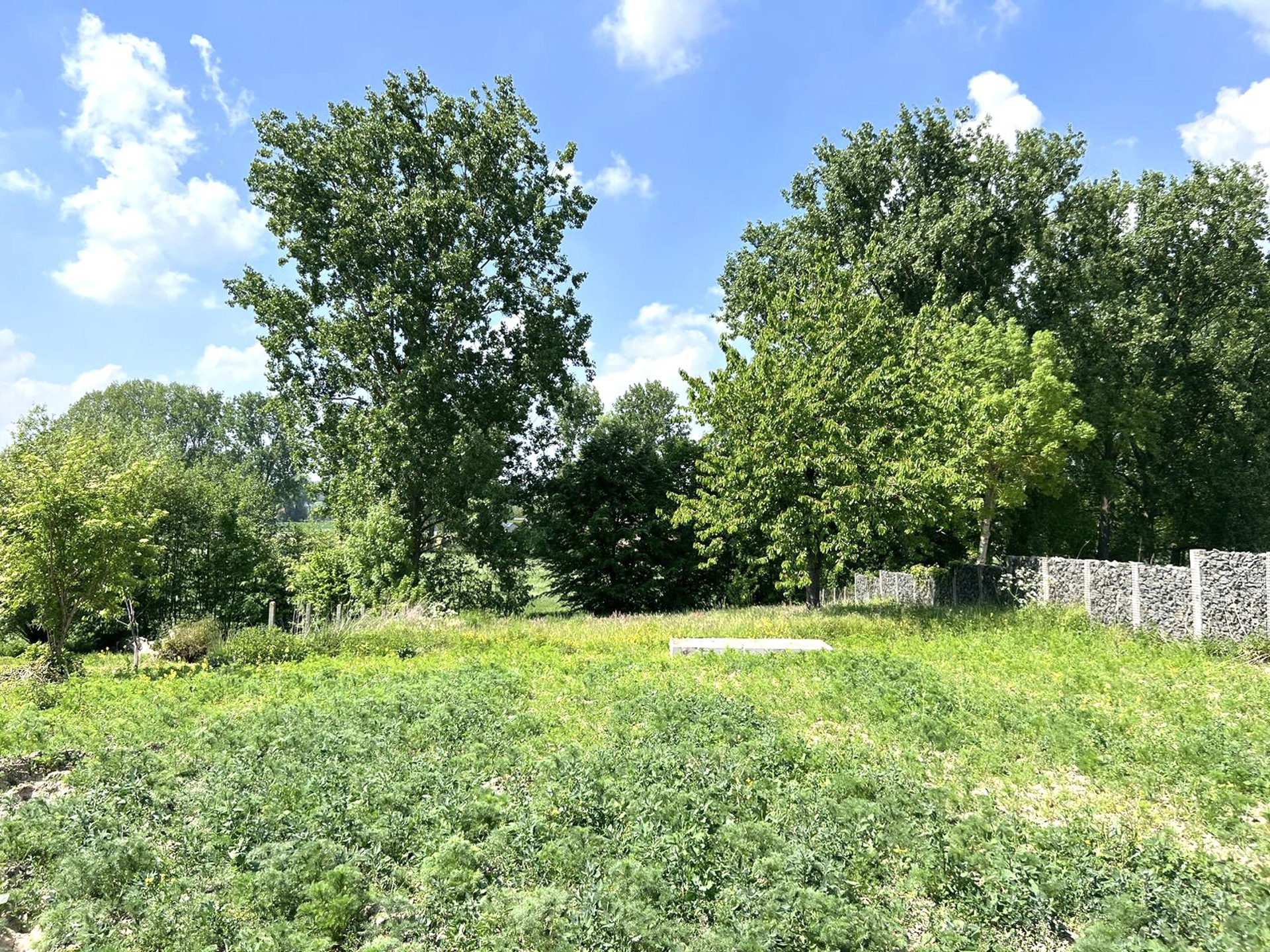 SOLIDE WONING met PRACHTIG ZICHT achteraan en VEEL POTENTIEEL!!! - foto 2