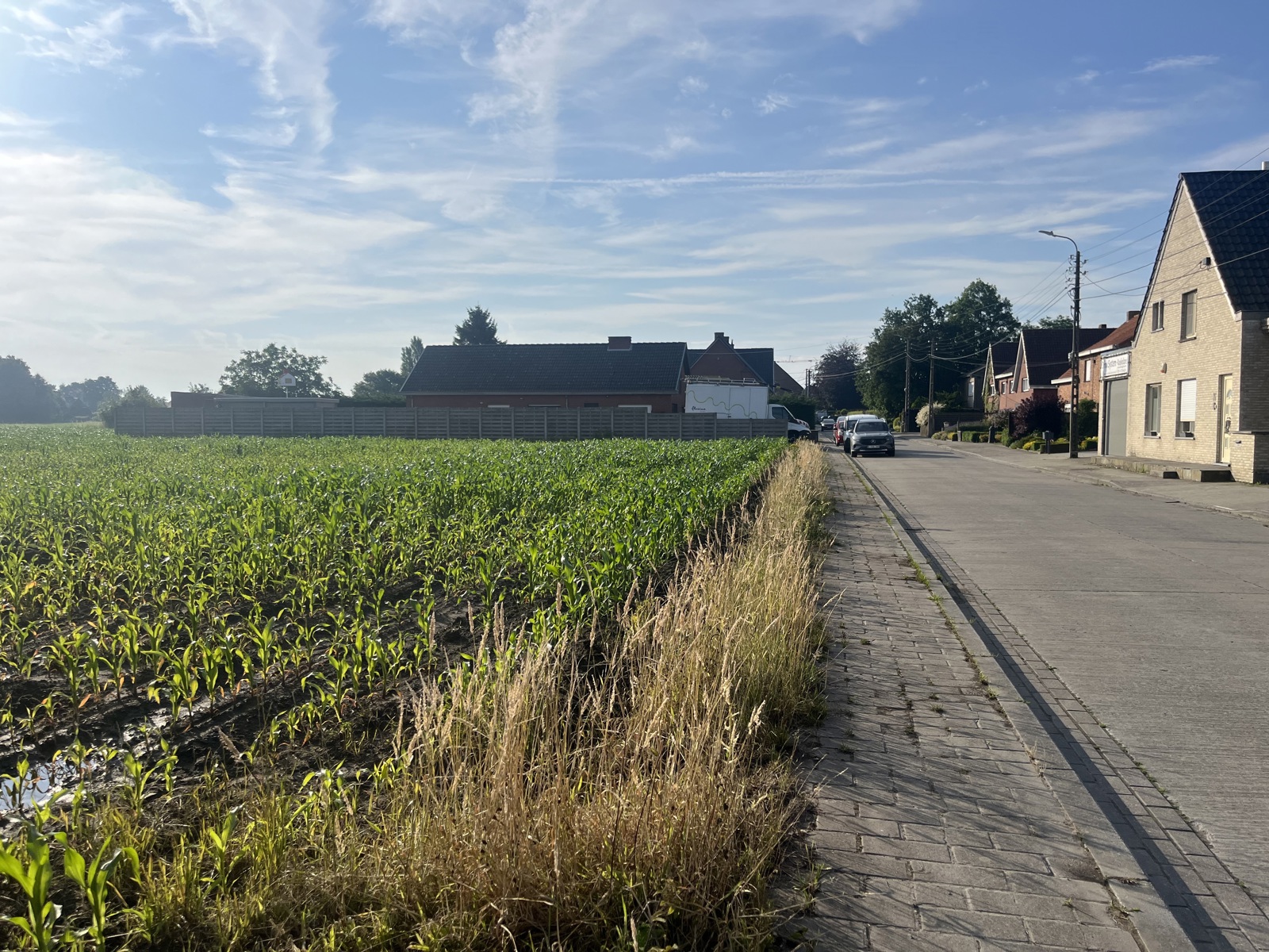 Land for sale in Koekelare - photo 3