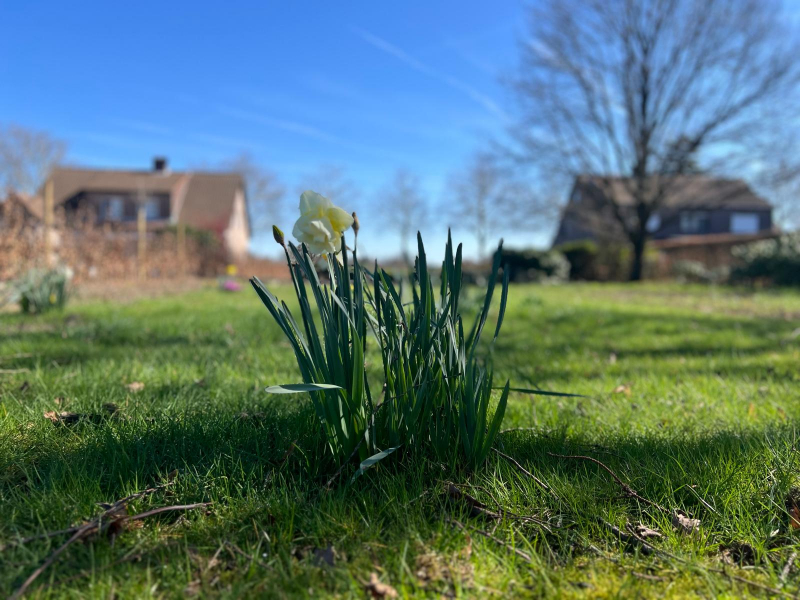 Prachtige ideaal georiënteerde villagrond 1599m² - foto 5