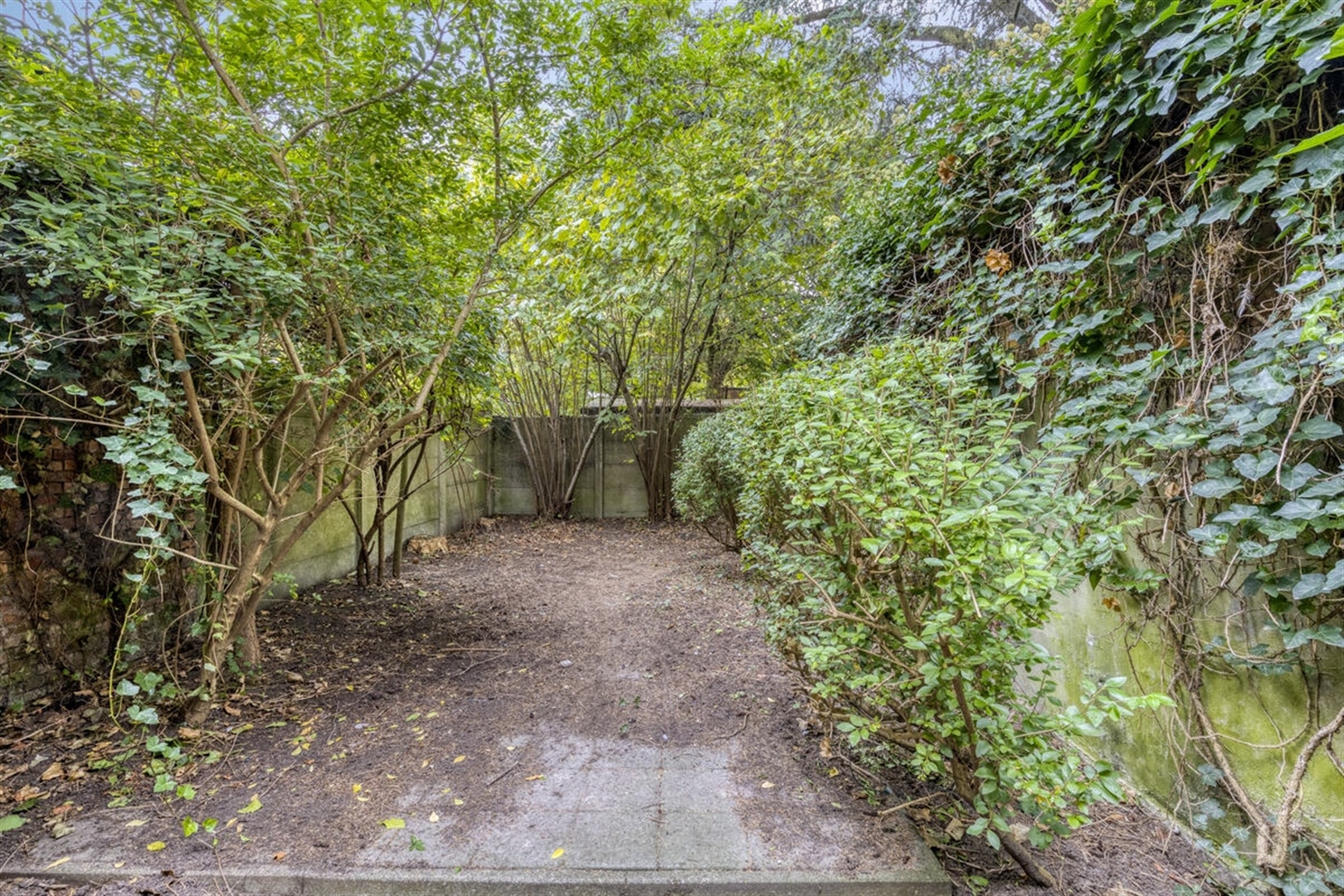 IN GEEN TIJD VERKOCHT Multifunctioneel eigendom - foto 3