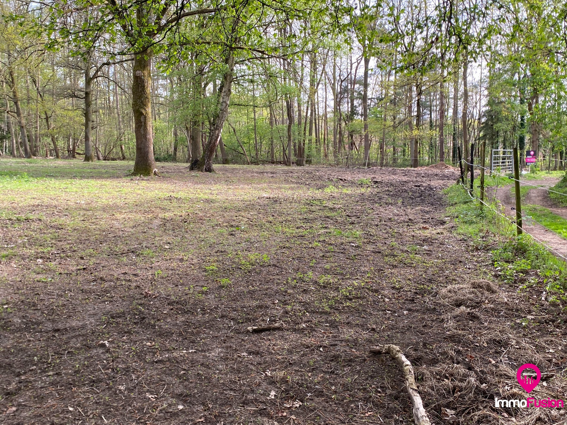 Ideale weide voor dierenliefhebbers in landelijke omgeving! - foto 5