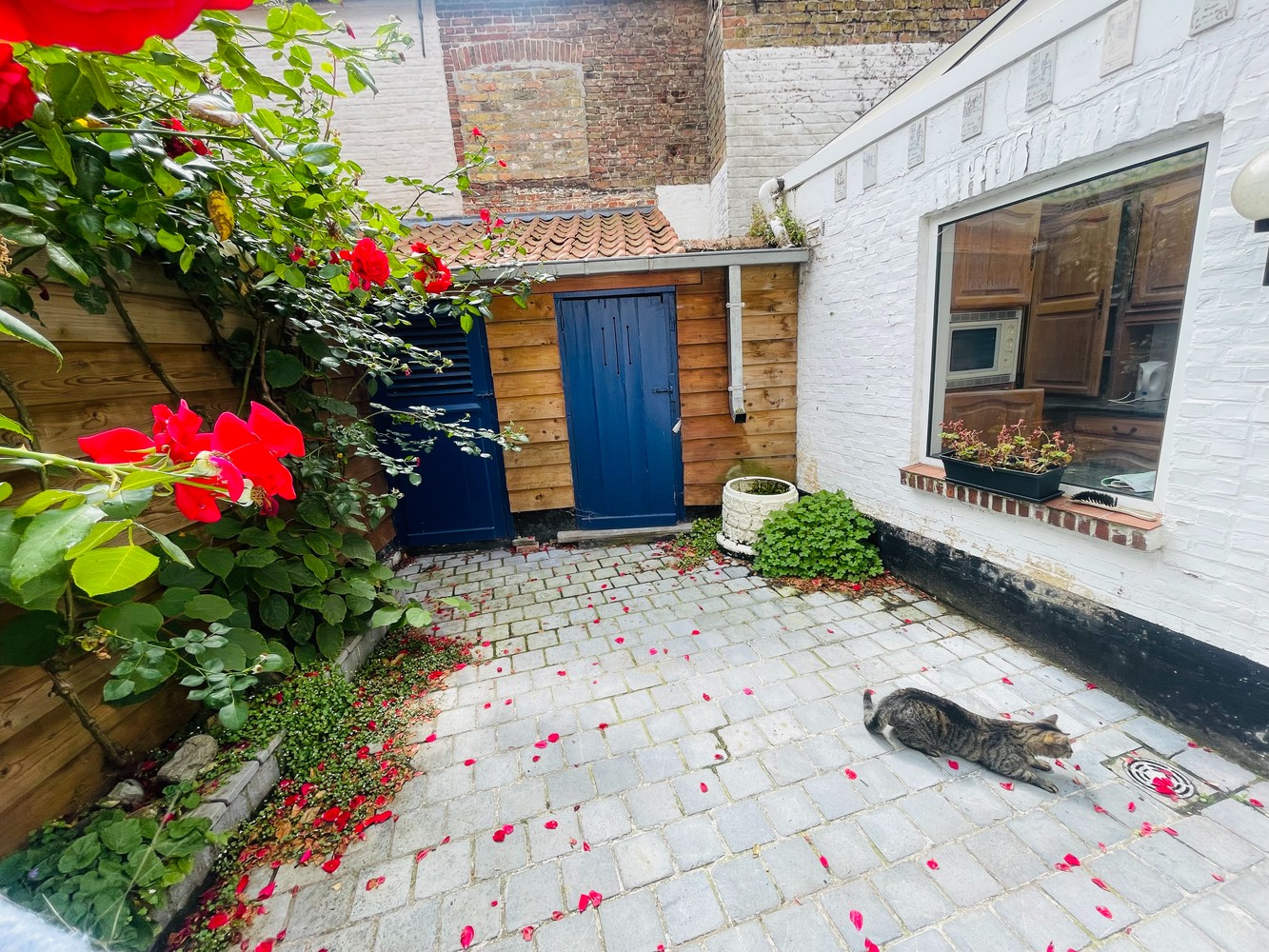 House for sale in Bruges with 2 bedrooms - photo 4