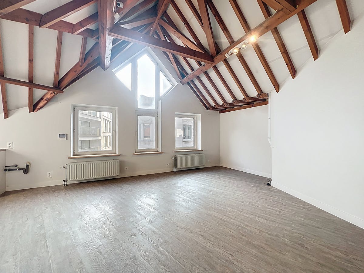 Charmant appartement met 1 slaapkamer in de Kalandeberg Gent - foto 4