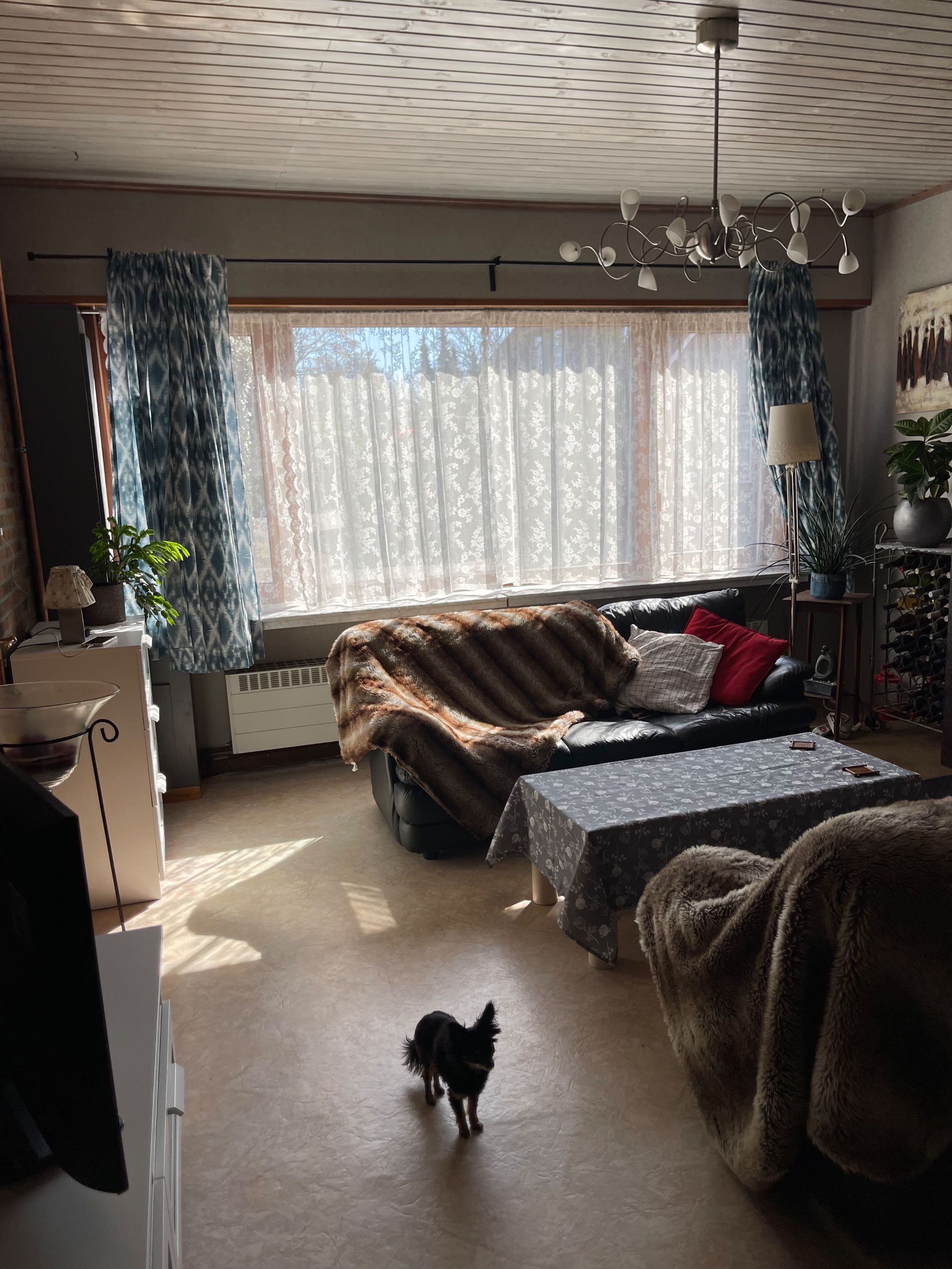 Huis te koop in Kapellen met 2 slaapkamers - foto 4