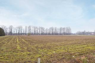 Rustig wonen met vrij zicht op groen en velden, zonder overburen, winkels in de onmiddelijke omgeving én met een vlotte verbinding naar Antwerpen en de rand? De wijk Zwarte Arend combineert een praktische ligging met een zeldzame meerwaarde: een open, blijvend uitzicht vanuit de leefruimte.<br /><br />Het appartement bevindt zich op de bovenste verdieping van een kleinschalig gebouw met slechts drie units, wat zorgt voor lage maandelijkse kosten. De voorbije jaren werd het appartement volledig gerenoveerd. Als nieuwe eigenaar hoef je je dus nergens zorgen over te maken: verhuizen en genieten.<br /><br />De open leefruimte biedt alle plaats voor een gezellige zithoek en een grote eetkamer te installeren. Absolute troef is het open zicht over de velden: geen overburen, veel lichtinval en een aangenaam gevoel van rust en privacy. De aansluitende keuken sluit mooi aan op de leefruimte en is volledig en praktisch ingericht.<br /><br />Achteraan bevinden zich twee volwaardige slaapkamers, waarvan één uitgeeft op een gezellig terras met ingebouwde barbecue. Een leuke extra voor gezellige avonden.<br />De badkamer is netjes onderhouden en uitgerust met een douche, wastafel en toilet. <br /><br />Daarnaast is er nog een derde kamer, ideaal als bureau, hobbyruimte of logeerkamer.<br /><br />Tot slot is er een ruime privatieve kelderberging die het comfort compleet maakt.<br /><br />Epc: 177 kWh/m2, P-score: A, G-score: A, Vg-Wg-Gvv-Gvkr-Gmo