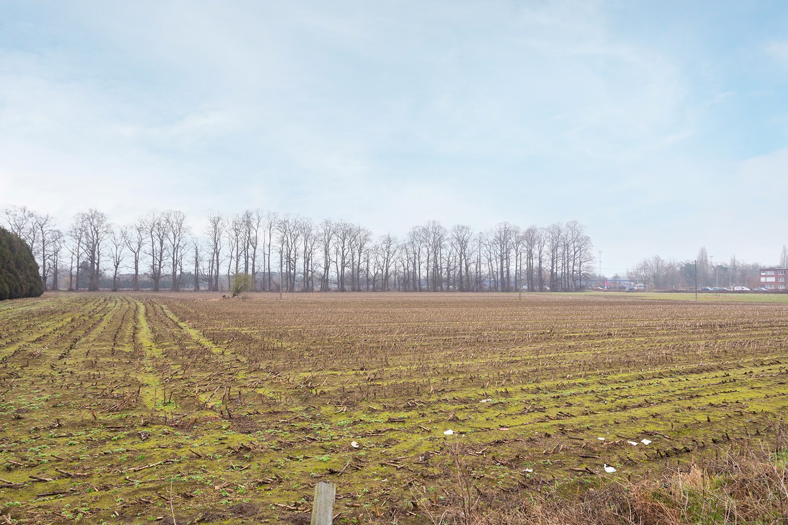 Rustig wonen met open zicht - foto 2
