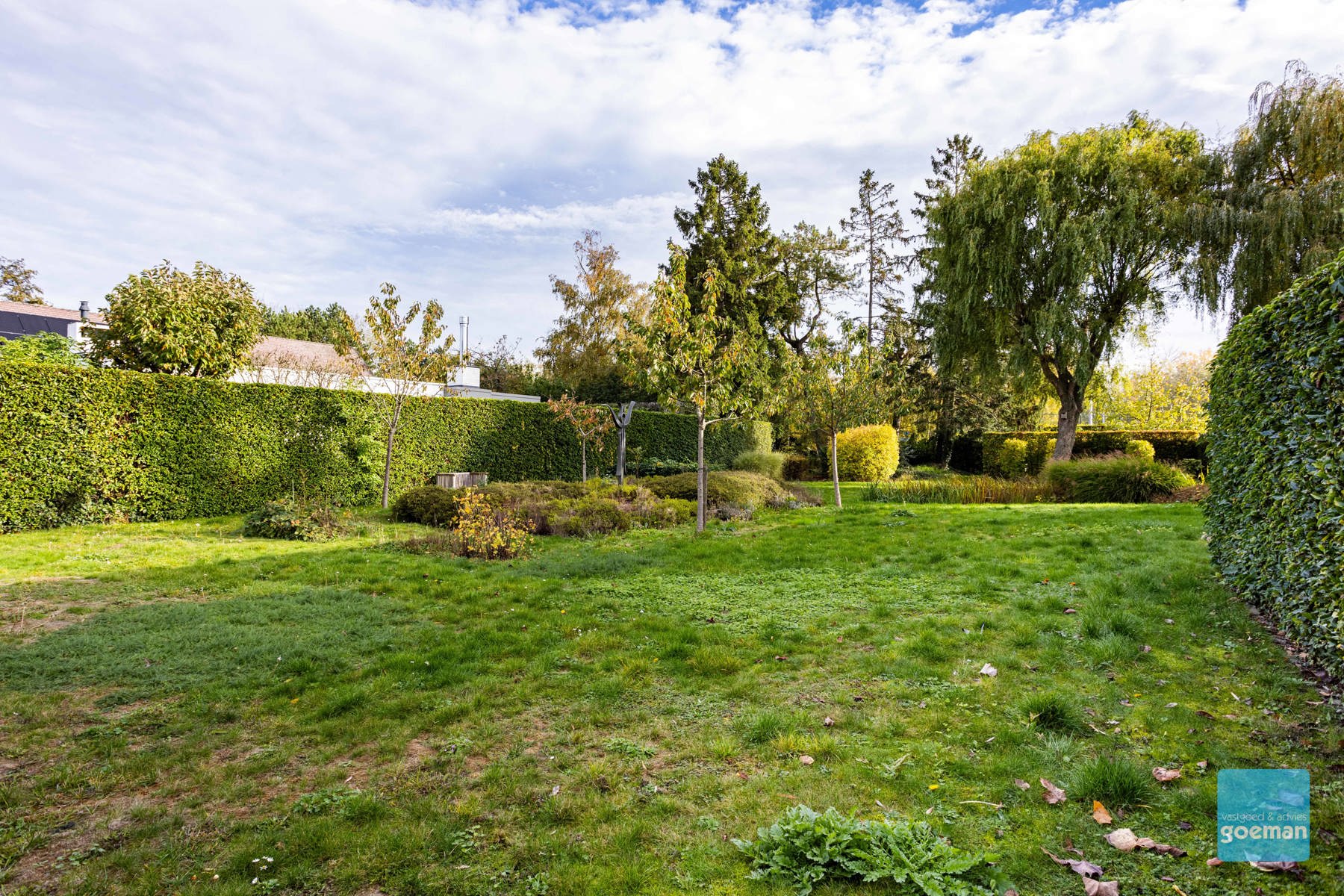 Land for sale in Dendermonde - photo 3