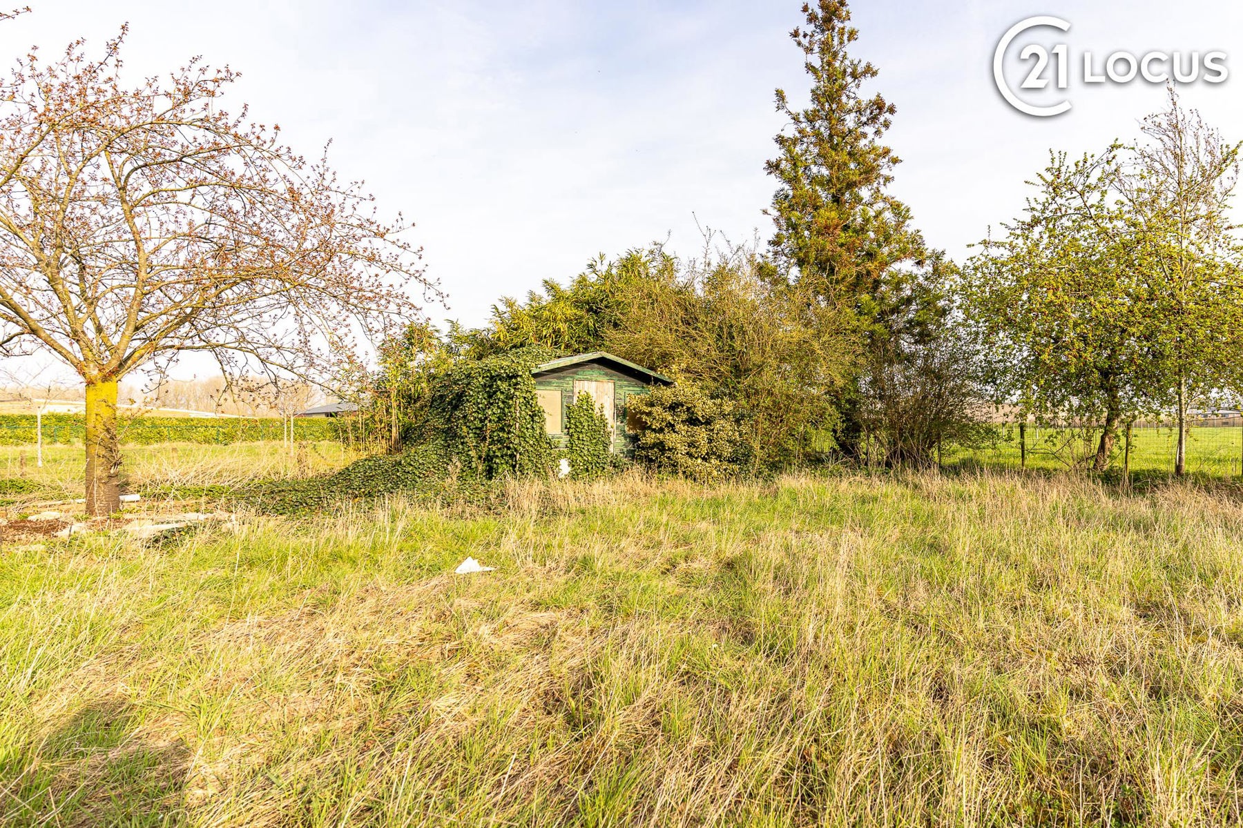 Renovatie- of heropbouwproject op 550 m² in Verrebroek - foto 2