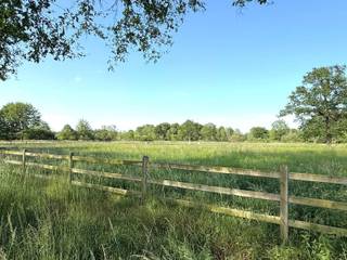 Twee omheinde<span> percelen landbouwgrond met een totale oppervlakte van 21.430m².</span><br /><br /><span>De percelen zijn volledig omheind en voorzien van een schuilstal, ideaal voor het houden van paarden. Water en elektriciteit zijn aanwezig. Daarnaast werden er leidingen aangelegd voor het vullen van drinkreservoirs voor dieren. De aanwezige fift wheel trailer is inbegrepen in de verkoopprijs.</span><br /><br /><span>Extra info: oppervlakte 21.430m² I infoplicht: Gvg, Ag-Ng, Gvv, Vkr, Gmo I </span><span>watertoets: P-score: B I G-score: A (perceelnummer 200 is de G-score onbekend).</span>