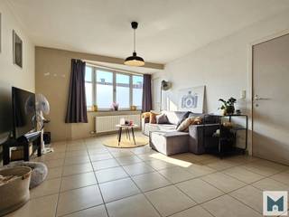 Appartement à louer à Termonde