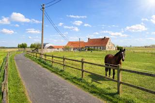 Exclusief te koop: een schitterend gelegen hoeve met bijgebouwen op een idyllische locatie te Knokke-Heist, volledig omgeven door weilanden...
