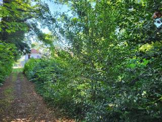 Te koop in Genk: (handels)huis - Hasseltweg 344Aan de Hasseltweg te Genk op een strategisch gelegen perceel van 6 are 30 centiare ligt dit pand voor...