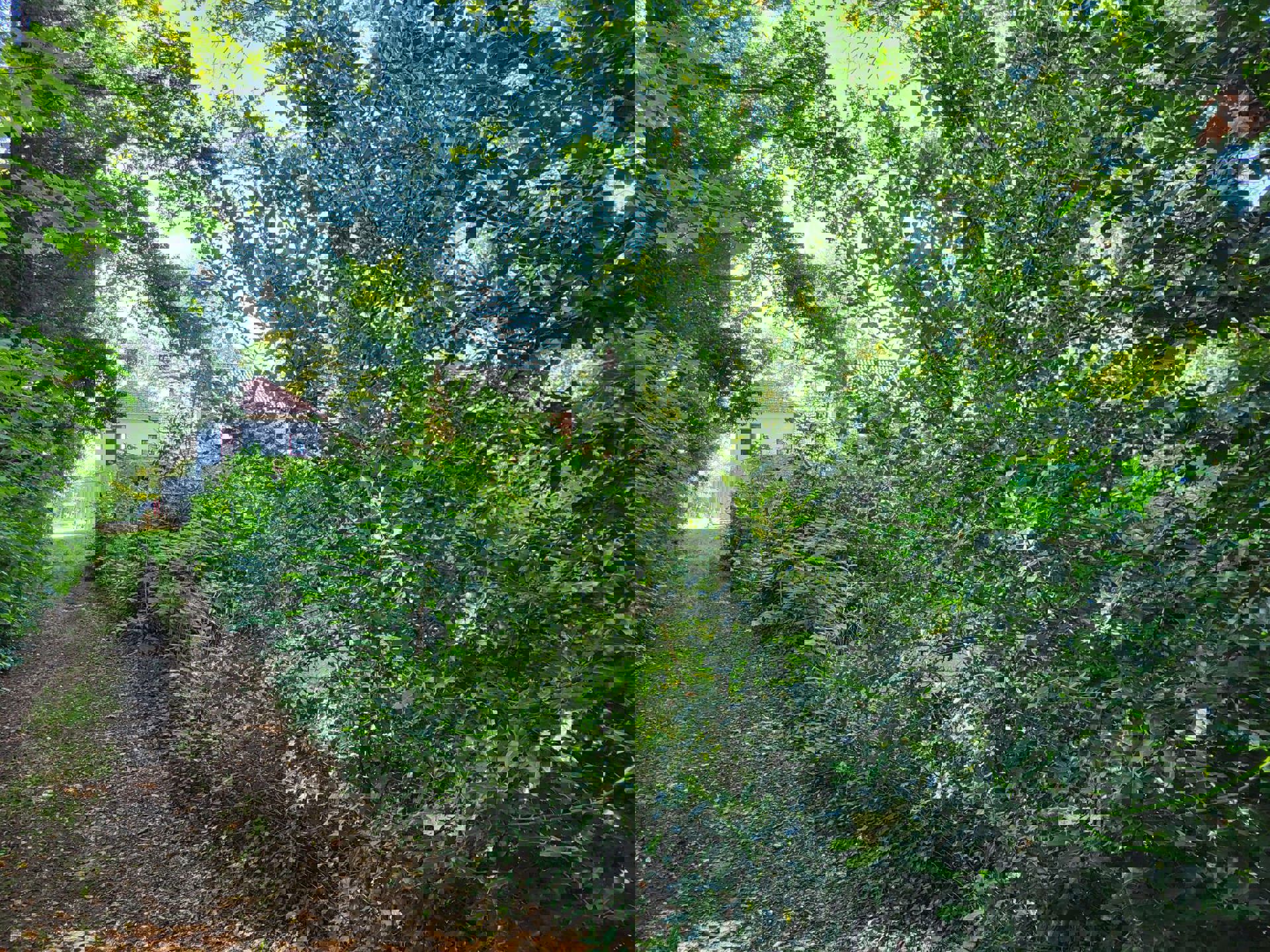 Te koop in Genk: (handels)huis - Hasseltweg 344 - foto 3