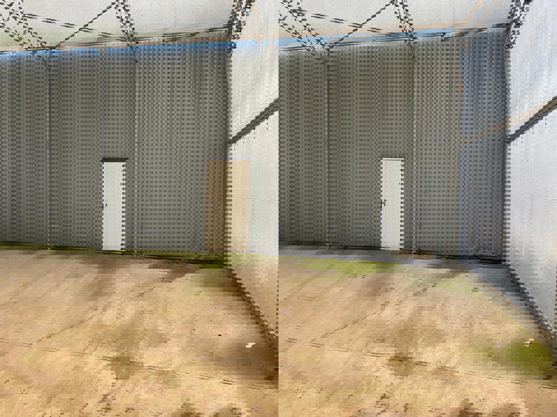 Serre (200m²) in Hoogstraten - foto 4