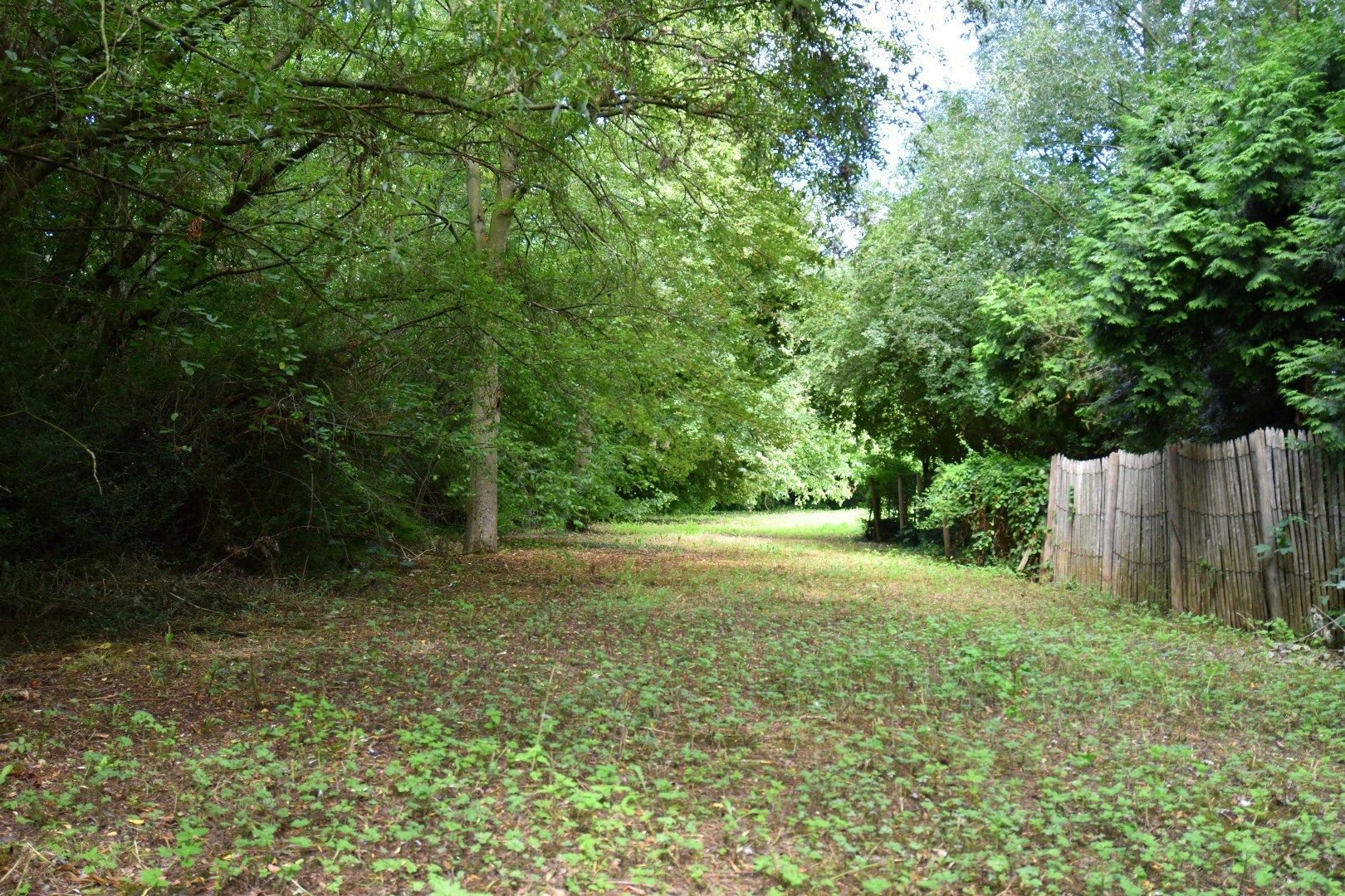 Ruim perceel grond van 2.325m² in groene omgeving - foto 4