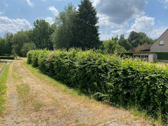 Land for sale in Tremelo - photo 4