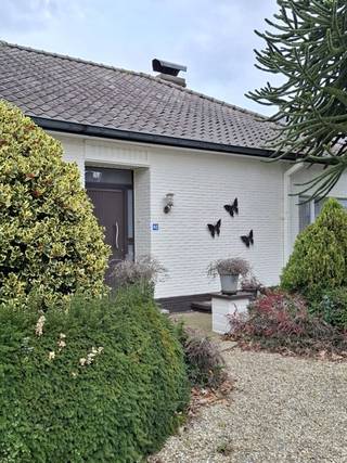 Deze verzorgde en energiezuinige bungalow met 3 slaapkamers is gelegen in een rustige straat in Berlare nabij winkels en openbaar vervoer.<br />De woning biedt comfortabel gelijkvloers wonen en beschikt over een lichtrijke leefruimte, een functionele keuken, drie volwaardige slaapkamers en badkamer met inloopdouche. Dankzij de praktische indeling is deze woning uitermate geschikt voor gezinnen, koppels en senioren. Bovendien beschikt de woning over een zolderruimte met potentieel voor extra slaapkamers of bijkomende leefruimte.<br />Een bijkomende troef is de grote berging, die dankzij haar volume en toegankelijkheid mits plaatsing van poort ook perfect kan worden gebruikt als garage voor een wagen, fietsen of extra opslagruimte.<br />Vanuit de keuken geniet u via het erkerraam van een mooi uitzicht op de tuin die ideaal is qua oppervlakte en de nodige rust en privacy biedt.<br />Bovendien beschikt de tuin over een uitweg naar de achterliggende straat, wat zorgt voor extra comfort en flexibiliteit.<br />Op energetisch vlak scoort deze woning goed dankzij 12 zonnepanelen in combinatie met een batterij, wat resulteert in een lager energieverbruik en lagere energiekosten.<br />Is dit de woning die u zoekt? contacteer mij dan snel voor een bezoek ter plaatse<br /><br />Vg - Wg - Gmo - Gvkr - VV 