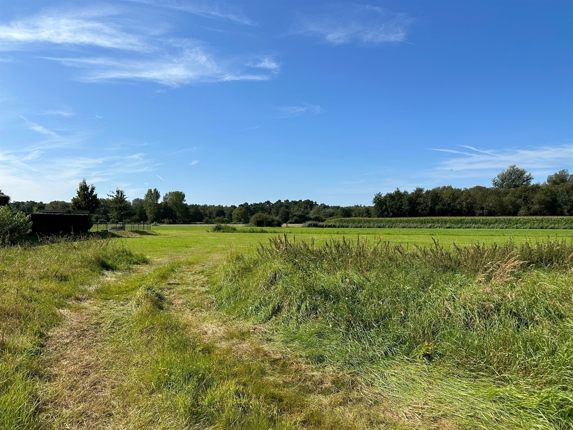 Land for sale in Sint-Gillis-Waas - photo 1