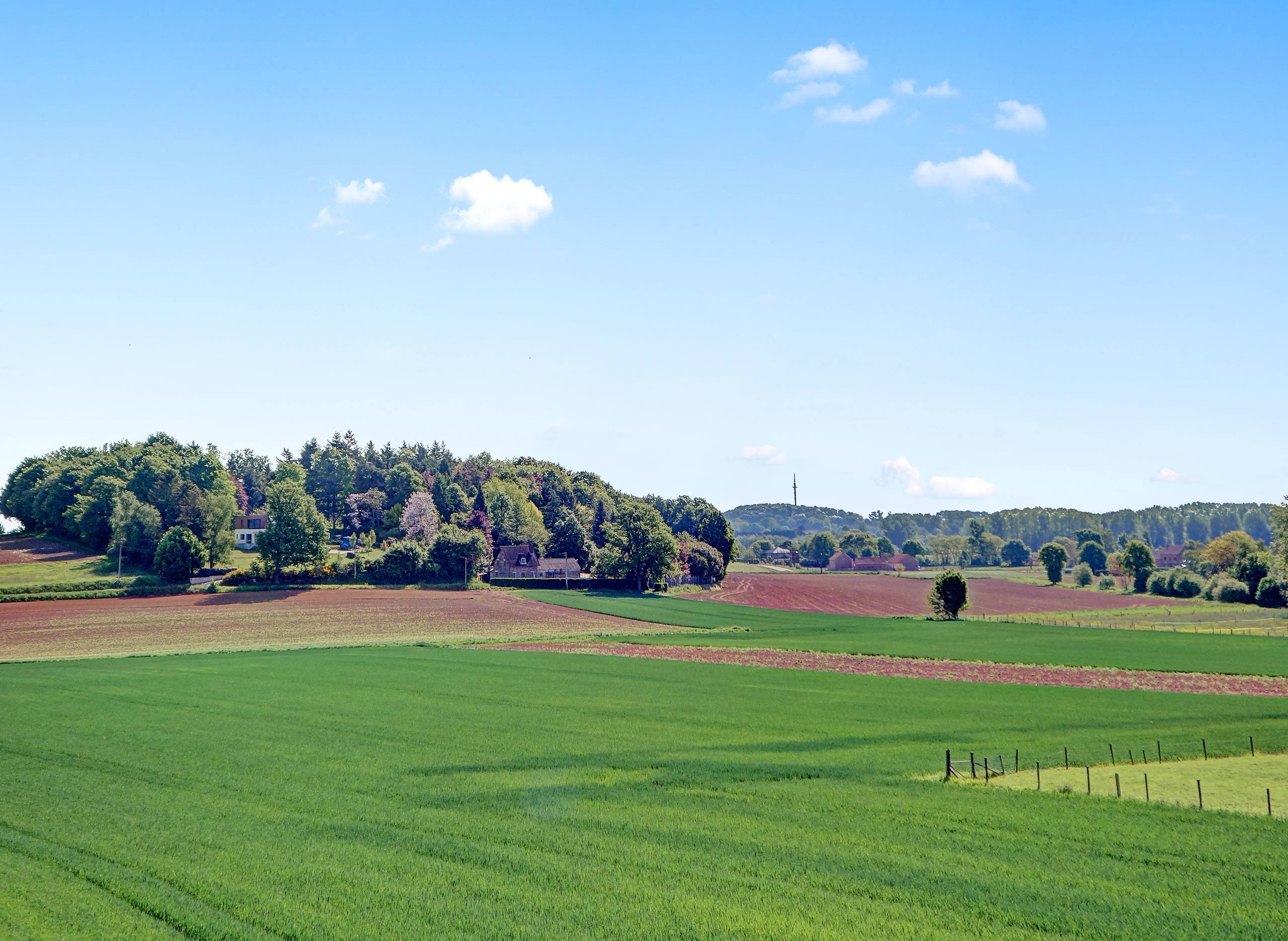 Karaktervolle vrijstaande woning met bijgebouwen op 16a 42ca - foto 3