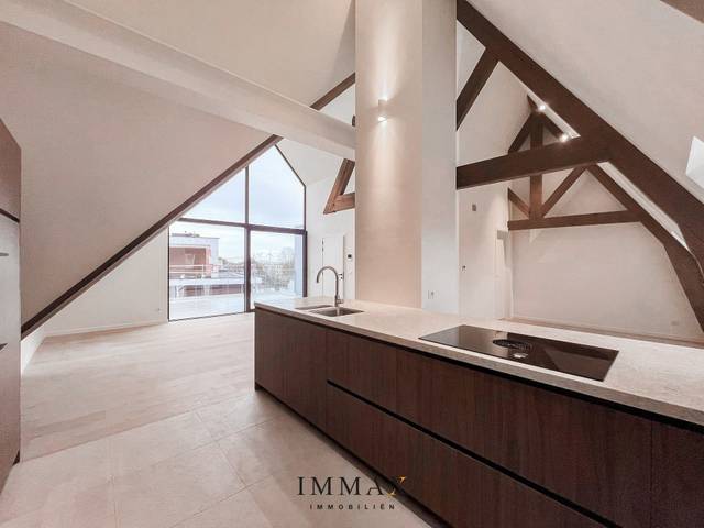 Projet à vendre à Bruges