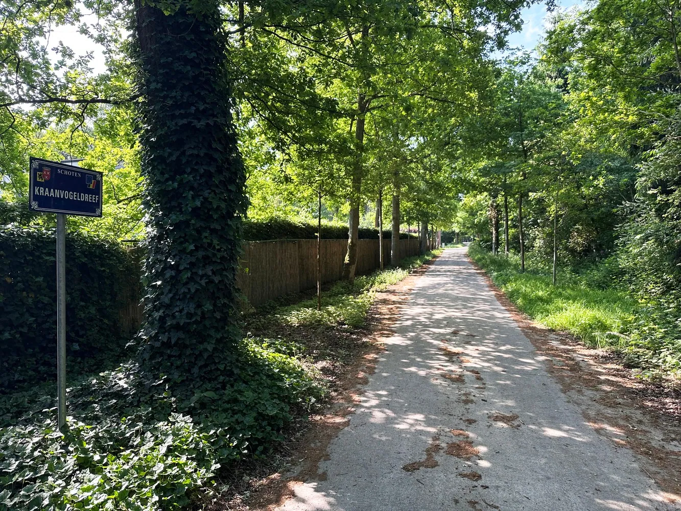 Unieke bouwgrond (5.150m²) omringd door groen & privacy in de Zeurt te Schoten! - foto 2