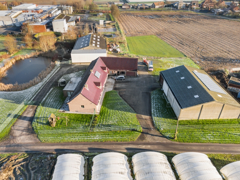 Staden. RUIME VILLA MET POTENTIEEL + loods van 435 m2 + loods van 515 m2 . Totaal perceel met tuinen en vijver = +/- 9000m2. Ideaal opbrengsteigendom en eigen gebruik. - foto 3