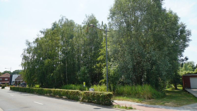 Bouwgrond 8 are 50 ca voor open bebouwing vlakbij centrum en met mooi achterzicht op groene omgeving - photo 4