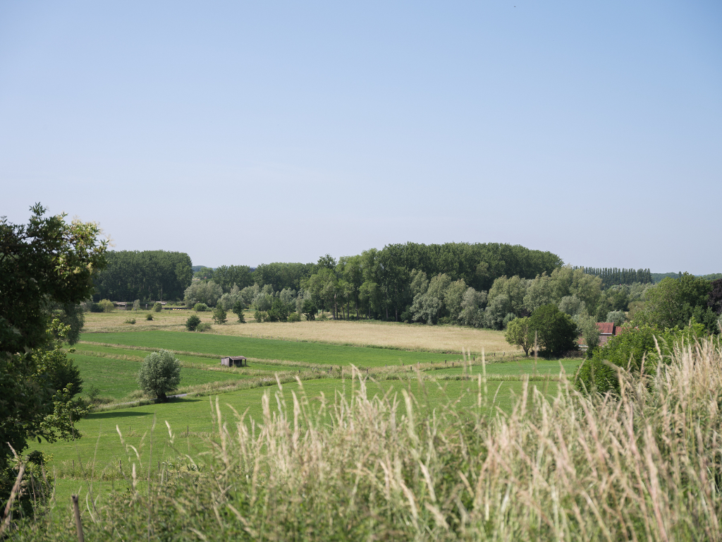 Architecturale casco-nieuwbouw bestaande uit een uitzonderlijke stapelwoning met onderliggende garage en adembenemende zichten over de Scheldevallei. - foto 4