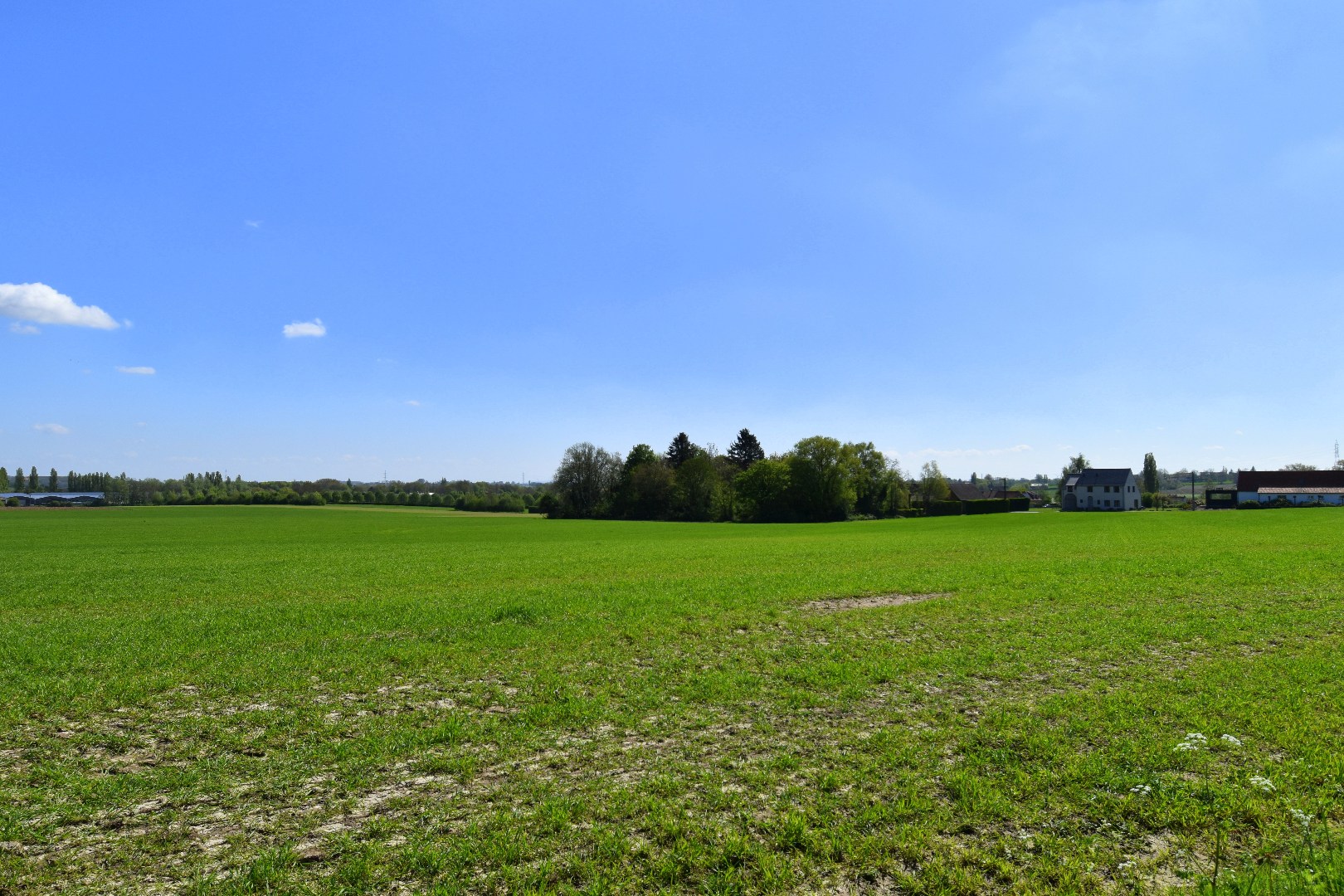 Maison à vendre à Rollegem - photo 4