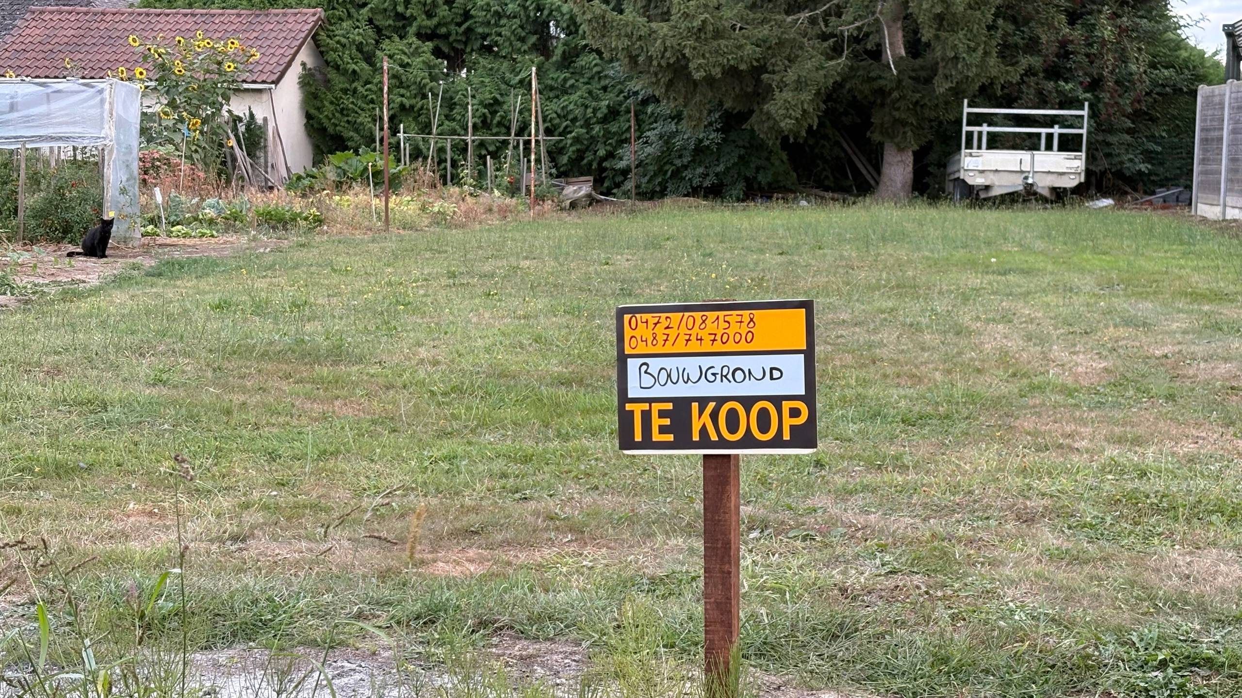 Grond te koop in Hoeleden - foto 2