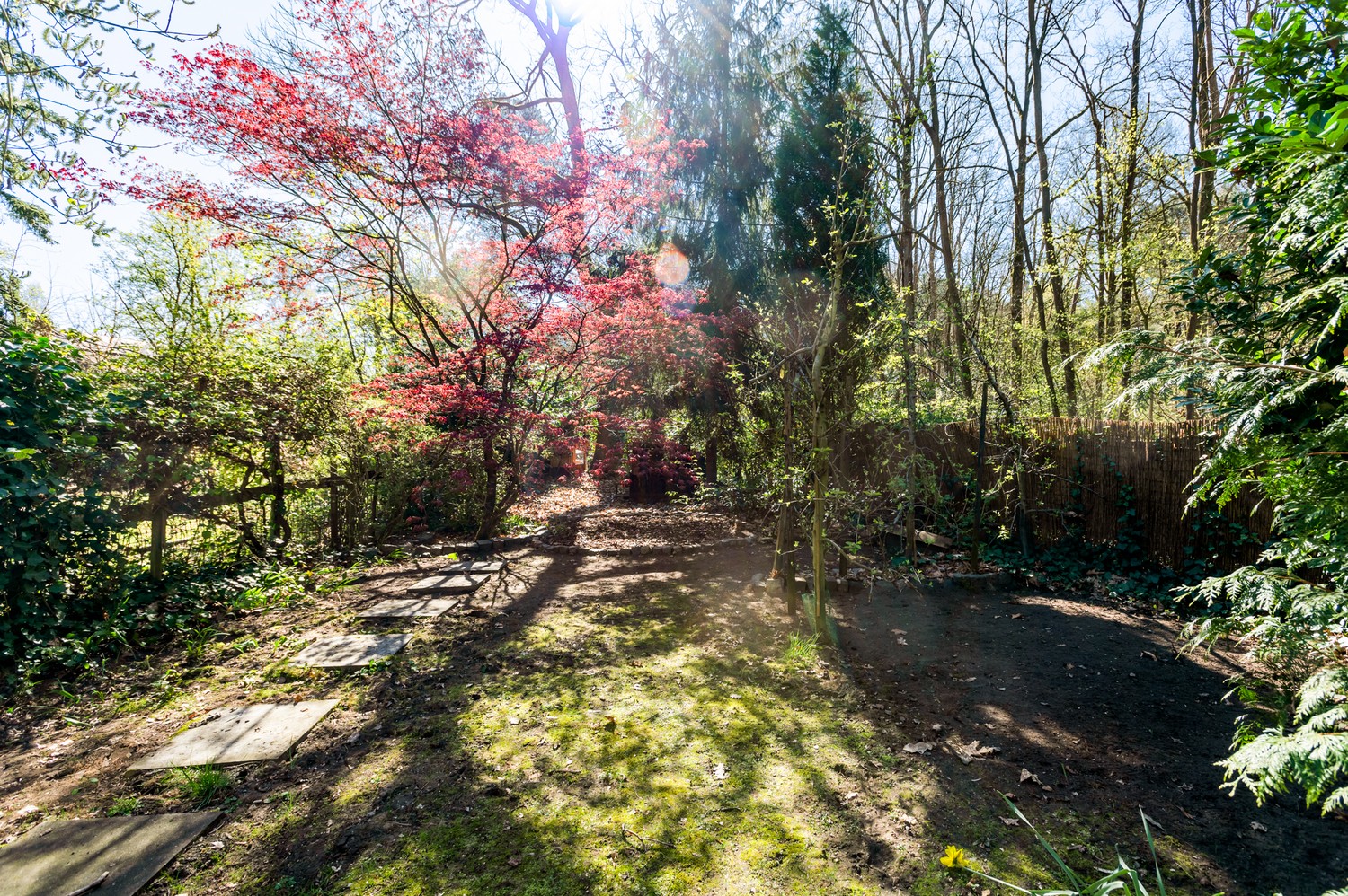 Gezellige doch op te frissen woning in groene omgeving te Kalmthout - foto 2