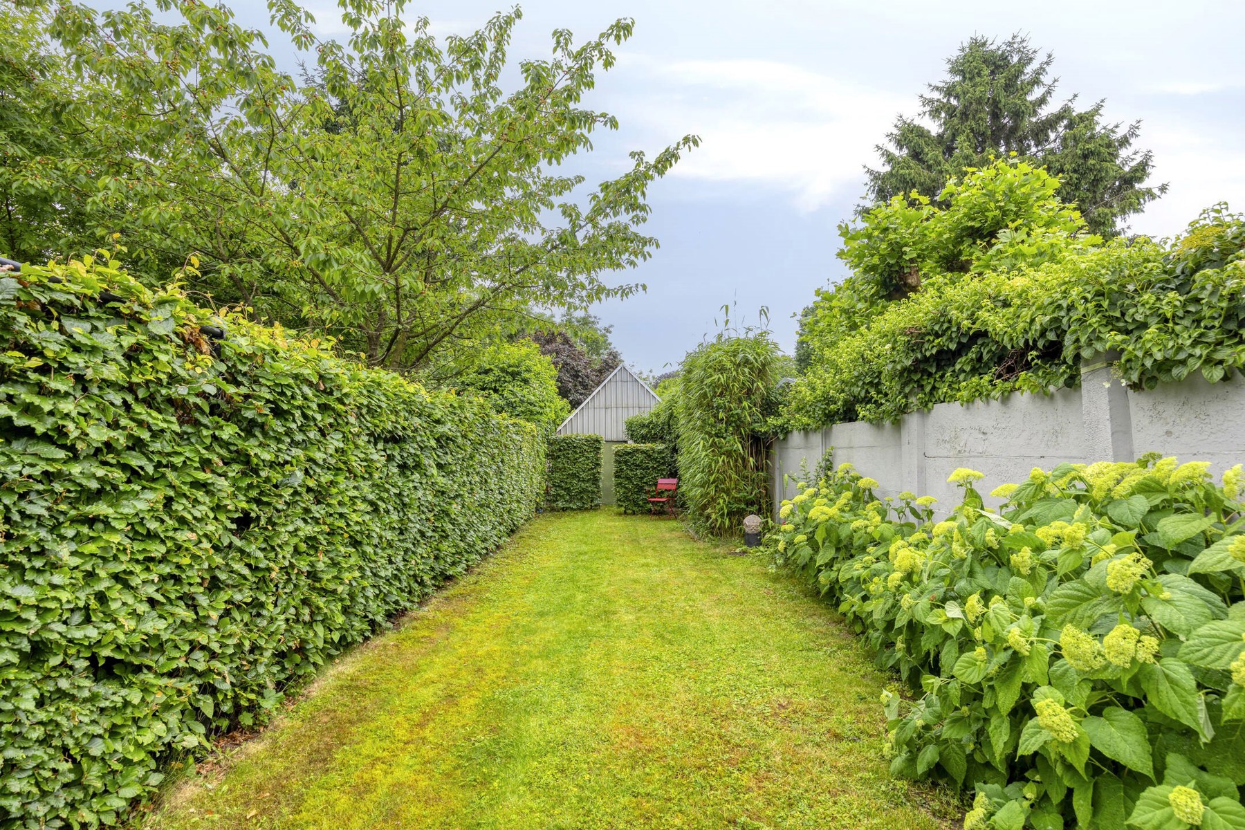 Volledig gerenoveerde woning met 3 slpk, bureau en tuin - foto 2